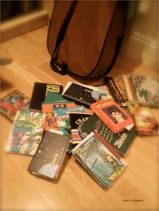 Un mucchietto di vecchi diari