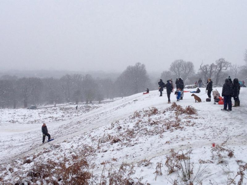 775111_4832923734719_292499300_o